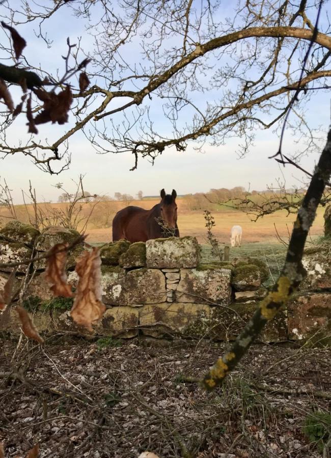 Wilding On A Whim Hotel West Linton Екстериор снимка